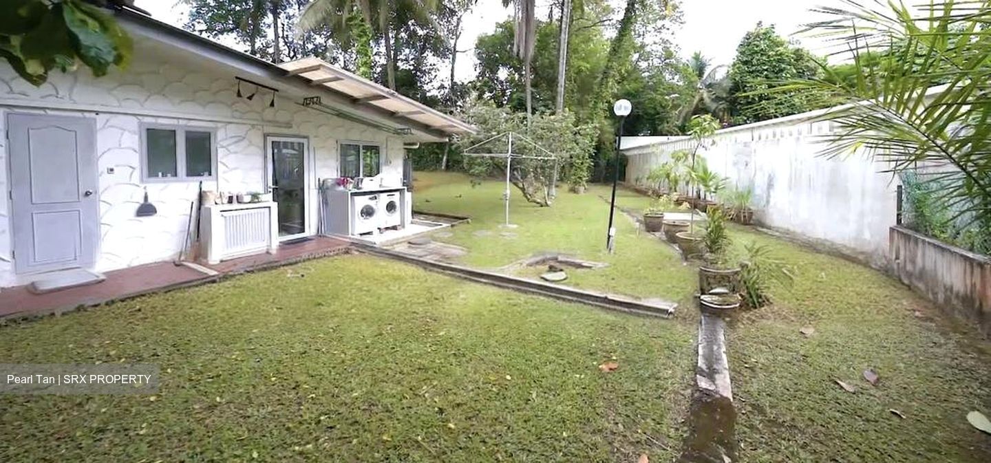 Leedon Park (D10), Detached #624512641